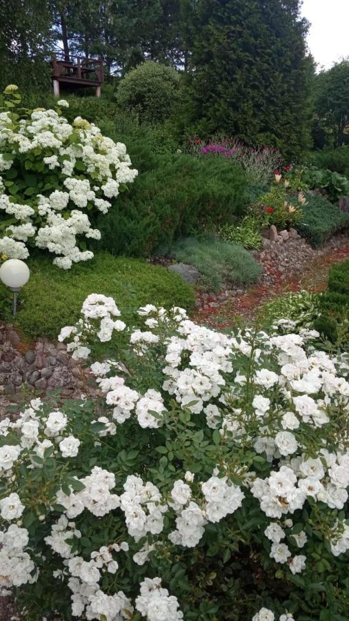 Agroturystyka Na Skarpie Wizajny Ngoại thất bức ảnh